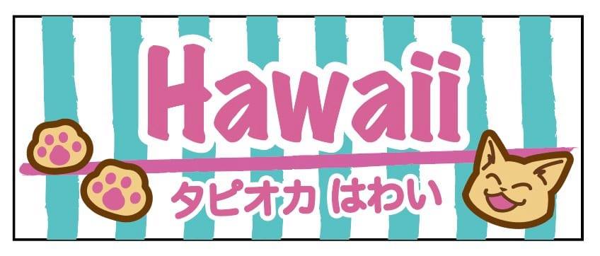 夏威夷（HAWAII）台湾直送タピオカ – 本場の美味しいタピオカをご提供